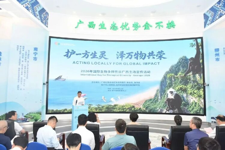 图4.jpg