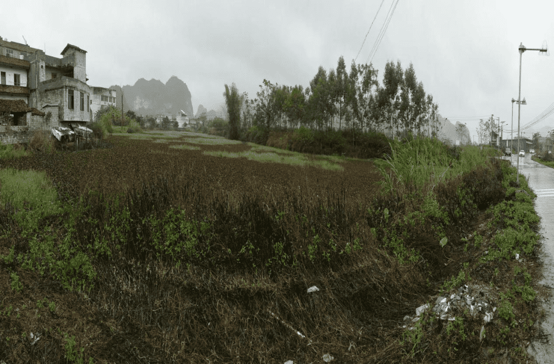 图1_new.png 图1_new.png